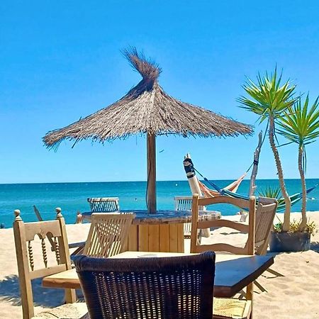 T3 Grande Terrasse Bord De Mer Le Barcarès Eksteriør bilde