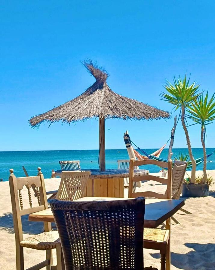 T3 Grande Terrasse Bord De Mer Le Barcarès Eksteriør bilde